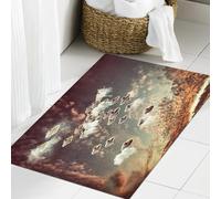 JHAOUNUK Tapis de Bain Antiderapant en Microfibre Douce,Tapis de Salle de Bain Lavable en Machine,Objets Volants dans Un Ciel Nuageux OVNIs Extraterrestres Thème de Science-fict,60x90cm