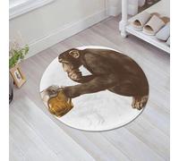 JHAOUNUK Tapis de Bain Antiderapant en Microfibre Douce,Tapis de Salle de Bain Lavable en Machine,Singe Assis sur Ses Pattes avec Un Regard pensif et Tenant dans Ses Pattes Un v,60x60cm