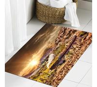 JHAOUNUK Tapis de Bain Antiderapant en Microfibre Douce,Tapis de Salle de Bain Lavable en Machine,Viaduc ferroviaire de Glenfinnan en Écosse avec Le Train à Vapeur Jacobite cont,60x90cm