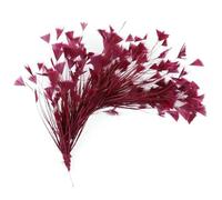 Jhdwu Plumes d'oie de dinde multicolores 25,4 à 30,5 cm Fleur Triangle Pointe Coquille Bonus Plumes Pliables Plumes Artisanat DIY Lady Coiffe