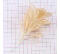 Jhdwu Plumes d'oie de dinde multicolores 25,4 à 30,5 cm Fleur Triangle Pointe Coquille Bonus Plumes Pliables Plumes Artisanat DIY Lady Coiffe