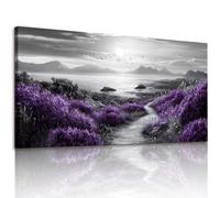 JHHUAMO Grand Tableau sur Toile 73x146 cm L, Peinture Décorative Moderne pour Salon Côtier, Décoration Murale pour Chambre à Coucher, Bureau, Salle de Bain, Salle à Manger