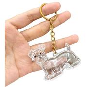 JHIALG Porte-clés collecteur de poils de chien, porte-clés transparent pour animal domestique, souvenir commémoratif pour poils d'animaux domestiques, accessoire commémoratif en fourrure, Style 6