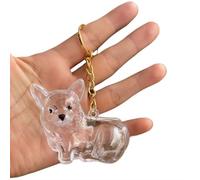 JHIALG Porte-clés collecteur de poils de chien, porte-clés transparent pour animal domestique, souvenir commémoratif pour poils d'animaux domestiques, accessoire commémoratif en fourrure, Style 9