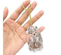 JHIALG Porte-clés collecteur de poils de chien, porte-clés transparent pour animal domestique, souvenir commémoratif pour poils d'animaux domestiques, accessoire commémoratif en fourrure, style 3