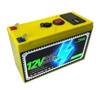 JHKJ Batterie au Lithium Portable d'extérieur 12V, 4Ah, 6Ah, 8Ah, 10Ah ; Batterie Externe 12V pour Bateaux, Panneaux solaires et Camping-Cars, avec Chargeur et câble de raccordement,12v8ah