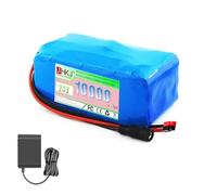 JHKJ Batterie Lithium-ION 24 V 10 Ah, 29,4 V 10 Ah, pour Moteur 0-300 W, avec Chargeur.,Anderson