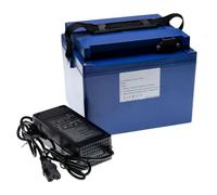 JHKJ Batterie Lithium-ION 48 V pour véhicule électrique (18,2 Ah, 20,8 Ah, 23,2 Ah), pour véhicule à Trois ou Quatre Roues, avec Chargeur,48v23.2ah