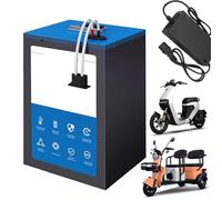 JHKJ Batterie pour Moto électrique 48V, 60V et 72V, 30Ah, 40Ah, 50Ah, 60Ah, 70Ah et 90Ah, au Lithium Fer Phosphate, pour Tricycle/cyclomoteur, à décharge Profonde, avec Chargeur.,60v50ah
