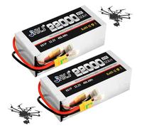 JHKJ Batteries au Lithium 22,2 V 22 000 mAh pour modèles réduits d'avions et Drones, avec connecteur XH-6S et BMS.,22.2v22000mah 25c 2 Pack