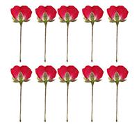 JHKNNK Fleurs Séchées Pressées 12 Boutons de Rose pour Loisirs Créatifs Fabrication Papier d'art Décoration Maison et Bijoux