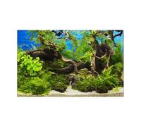JHSDHYD Fond Aquarium Autocollant de Fond d'aquarium, Affiche de Fond, Plante, décoration d'aquarium, Papier Peint Autocollant, Fond(41x 122cm)