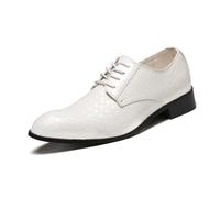 JHYUUKAU Chaussures Derby Homme À Bout Pointu pour Bureau, Mariage Et Tenue Décontractée,Blanc,46 EU