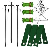 JIAMIAN 9PCS Kit De Sangle d'Arbre, Kit De Tige d'Arbre, Kit De Tronc Métallique, Ancre De Support d'Arbre, 3 Mâts De 30cm, Kit De Fixation Pour La Fixation Des Plantes Coupe Vent