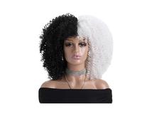 JIANBOHAIRS 16 Inch Afro Kinky Curly Wigs with Bangs for Women, None Lace Synthetic Hair for Daily Party Natural Looking for Thinning Hair(Black And White)