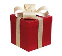 Jiangbered Nouvelle Année Coffret Boîte Cadeau Carré Papier Festival Robuste Multifonction Offrant Emballage Cadeaux Rangement Bijoux Accessoires pour Événements, Rouge 30 Cm