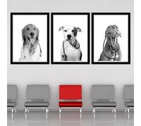 JIANGSHANDAIYOUCAIREN Chiens vétérinaires avec stéthoscopes toile peinture murale affiche vétérinaire bureau animal clinique décor pas cadre-30x40cmX3