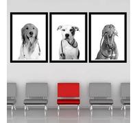 JIANGSHANDAIYOUCAIREN Chiens vétérinaires avec stéthoscopes toile peinture murale affiche vétérinaire bureau animal clinique décor pas cadre-30x40cmX3