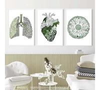 JIANGSHANDAIYOUCAIREN Vert abstrait médecine anatomie cœur poumon oeil toile peinture affiches et impressions art mural pour la décoration du salon sans cadre-40x50cmX3