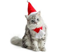 Jiangshaoshuai Chapeau et écharpe pour chat - Chapeau et écharpe de Noël - Ensemble de vêtements de Noël - Convient pour les chats et les chiens de petite taille
