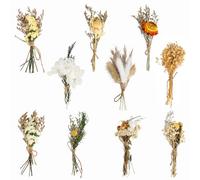 JIANGZHIB Lot de 10 bouquets de fleurs séchées - Mini fleurs séchées pour le bricolage, le bricolage, le bricolage, les petites fleurs séchées - Cadre photo - Fleurs séchées pour art, artisanat,