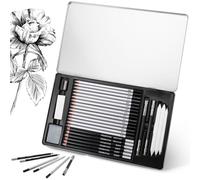 JIANTA 29 pièces Crayons Dessin Professionnels, 15 Crayons Graphite 4H, 2H, H, HB, B, 3x 2B, 3x 4B, 5B, 6B, 8B, 10B, 6 crayons à charbon, 8 accessoires dans un étui métallique pour enfants adultes
