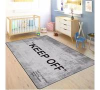 JIAOJING Tapis À Garder À L’Écart, Tapis De Sol Gris Moderne Grand Tapis, Antidérapant pour Chambre, Salon, Salon, Tapis De Décoration Intérieure 50X80Cm