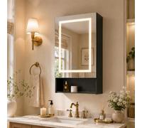 JiaOyu Armoire de salle de bain suspendue de 50 cm de large, armoire miroir avec miroir et éclairage LED, armoire de salle de bain avec étagère réglable pour salle de bain, 3 températures de couleur à