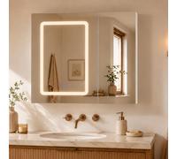 JiaOyu Armoire de salle de bain suspendue de 60 cm de large, armoire miroir avec miroir et éclairage LED, armoire de salle de bain avec étagère réglable pour salle de bain, 3 températures de couleur à