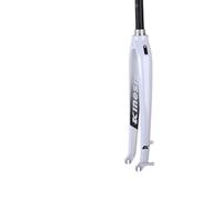 JIASHUNHE Fourche VTT Fourche Rigide for vélo VTT 26 Fourche Dure de Route Montagne 29 Cadre 27,5 axe Frein à Disque Conique en Aluminium 100 * 15 mm(30A Cone White QR)