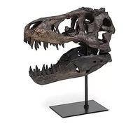 Jiawinng Modèle De Crâne De Dinosaure avec Support, Archéologie Fossile De Dinosaure Artisanat Enseignement Prop pour Dinosaur Skull Archéologie Amoureux Cadeaux Halloween Noël Famil Decor,Resin