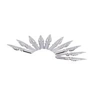 Jiawu 10 Pièces Set de Plumes Calligraphie, Pointes Métalliques pour