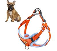 Jiawu Ensemble de Laisse pour Chien Confortable et Respirant avec Bande Réfléchissante, Harnais de sécurité Réglable et Laisse pour Voyage, Marche en Plein Air, Animaux de Petite et Grande Taille (L)