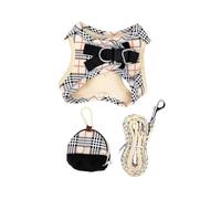 Jiawu Harnais et Laisse pour Petit Chien, Collier pour Chien