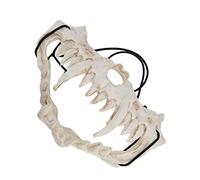 Jiawu Masque de Crâne en Latex avec Sangle Réglable pour Halloween Cosplay | Demi-masque imperméable, costume de crâne d\'animal effrayant, respirant pour le théâtre de fête