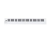 Jiawu Piano Pliable à 61 Touches, Design Pliable Compact, Lecture d'enregistrement en Plastique Non Toxique, Clavier Portable, Piano électronique avec 100 Rythmes, 25 Chansons de