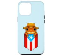 Jibaro Coqui Frog Drapeau Porto Rico Boricua Pocket Borinquen Coque pour iPhone 12 Pro Max