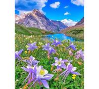 JICFDAO DIY 5D Diamond Painting Paysage Montagne 40x50cm Tableau Perle Diamant Fleur Violet Diamond Painting Adulte Broderie Diamant Kit Complet pour Débutant se Détendre et se Relaxer Maison Décor