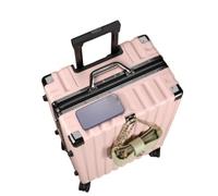 Jidanmian ABS Hardside Luggage,Lightweight Hardside Suitcase with Spinner Wheels/Sturdy Combination Lock,Waterproof Large Checked Luggage for Travel(Pink,20")