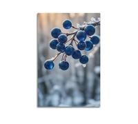 JIDUHON Poster de paysage baies bleues givrées.jpg Poster moderne sur toile Décoration esthétique 30 x 45 cm Sans cadre