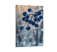 JIDUHON Poster de paysage baies bleues givrées.jpg Poster moderne sur toile Décoration esthétique 30 x 45 cm Style cadre