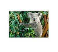 JIDUHON Poster Koala caché parmi les feuilles étreignant une branche - Décoration murale moderne - Impression sur toile - Sans cadre - 20 x 30 cm