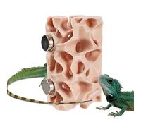 JIEBWCHA Habitat d'araignées sauteuses - Cachette magnétique | Habitat pour geckos - pour décoration de terrarium d'araignées grimpantes et enclos de grenouilles, geckos et amphibiens