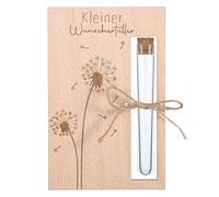 JIEYAO Cadeau d'anniversaire, cadeau en argent, emballage en bois, cadeau de mariage amusant, avec tubes à essai, ficelle pour mariage, couple de mariés, voyage