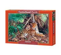 Castorland Jigsaw Jaguars in the Jungle 3000 pièces Multicolore G