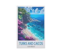 Jigsaw Puzzle 1000 Piece，Turks and Caicos Caribbean，Classic Puzzle DIY Kit Paper Toy Unique Gift Home Decor（38x52cm）-GA98