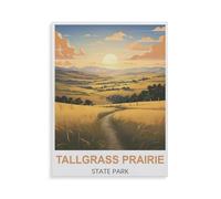 Jigsaw Puzzle 1000 Pièces Adultes，Tallgrass Prairie State Park，Papier Puzzle Classique Jigsaw Puzzle pour Garçons Filles HD Impression Affiche Cadeau De Noël（38x26cm）-HJ25