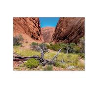 Jigsaw Puzzle 1000 Pièces，Falaises de Roche Rouge dans Le Parc National de Kata Tjuta，Adultes Enfants Assemblage De Puzzles Jeux De Jouets Éducatifs（50x70cm）-AT38