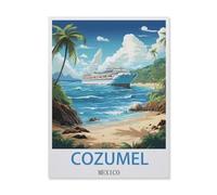 Jigsaw Puzzle 1000 Pieces for Adults，Cozumel Mexico，Teens Boys Girls Puzzles Premium Quality Fun Family Challenging Puzzles for Birthday（50x70cm）-ET89