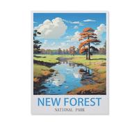 Jigsaw Puzzle 1000 Pieces for Adults，New Forest National Park，Teens Boys Girls Puzzles Difficult Thick Sturdy Pieces Challenging Puzzle for Party Games（50x70cm）-FJ29